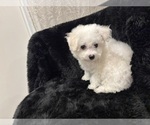 Small #7 Breeder Profile image