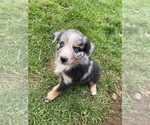 Small #25 Breeder Profile image