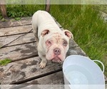 Small #10 Breeder Profile image