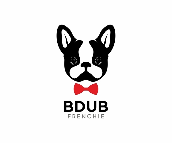 Medium Photo #1  Breeder Profile in FORT LAUDERDALE, FL, USA