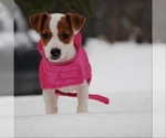 Small #12 Breeder Profile image
