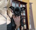 Small breeder photo