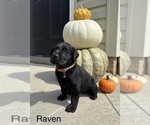 Small #7 Breeder Profile image
