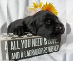 Small #4 Breeder Profile image