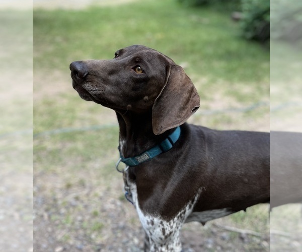 Medium Photo #1  Breeder Profile in WORLAND, WY, USA