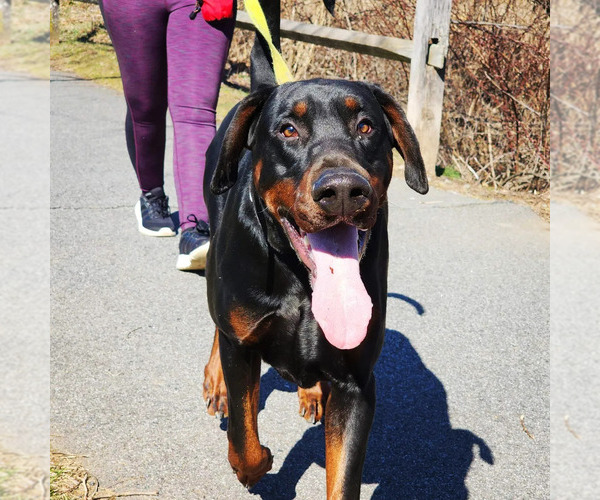 Medium Photo #1  Breeder Profile in CHARLOTTE, NC, USA