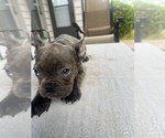 Small #12 Breeder Profile image