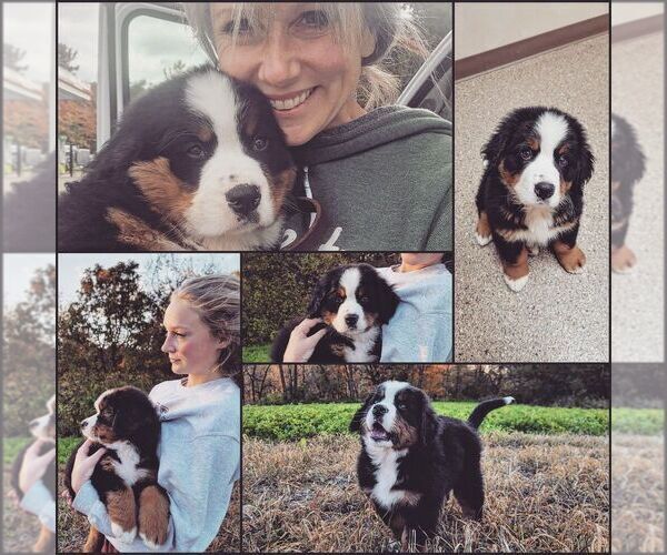 Medium Photo #6  Breeder Profile in CUBA CITY, WI, USA