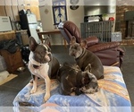 Small #19 Breeder Profile image