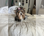 Small #25 Breeder Profile image