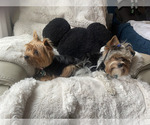 Small #17 Breeder Profile image