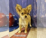 Small #12 Breeder Profile image