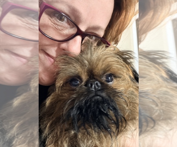 Medium Photo #7  Breeder Profile in SPRING BRANCH, TX, USA