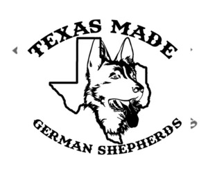 German Shepherd Dog Dog Breeder near TOMBALL, TX, USA