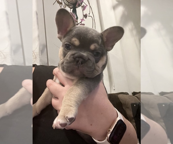 Medium Photo #2  Breeder Profile in BLOOMINGTON, UT, USA