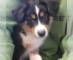 Small #1 Breeder Profile image