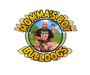 French Bulldog Dog Breeder near CONYERS, GA, USA