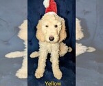 Small #1 Breeder Profile image