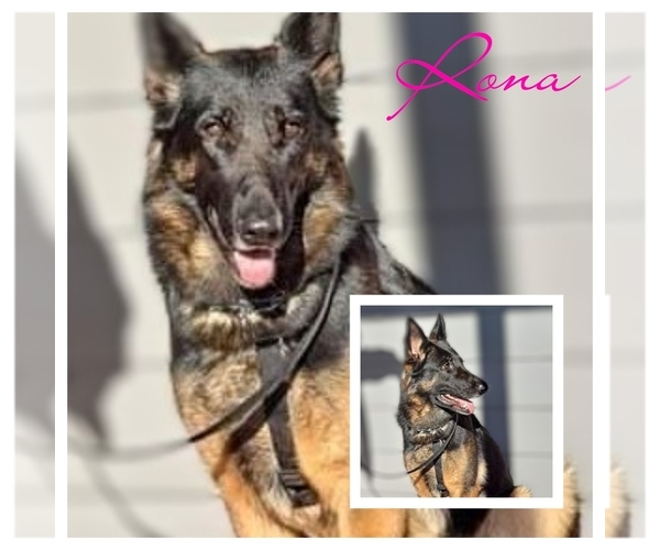 Medium Photo #12  Breeder Profile in MOLALLA, OR, USA