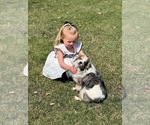 Small #7 Breeder Profile image