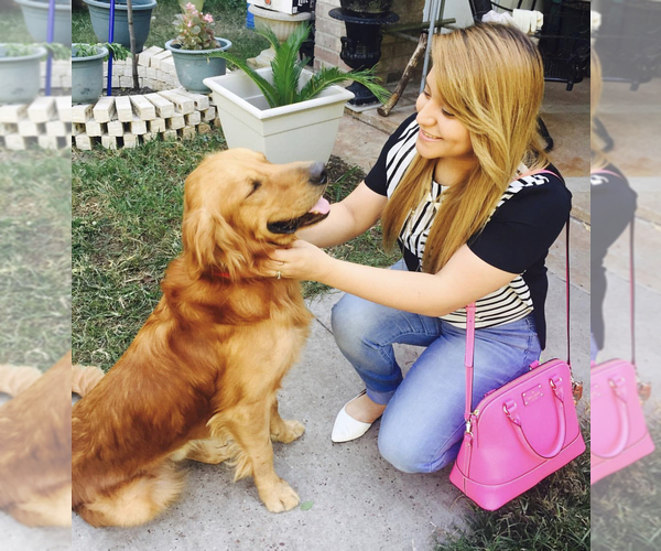 Medium Photo #1  Breeder Profile in PASADENA, TX, USA