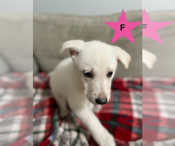 Medium Photo #2  Breeder Profile in ALACHUA, FL, USA