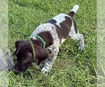 Small #15 Breeder Profile image