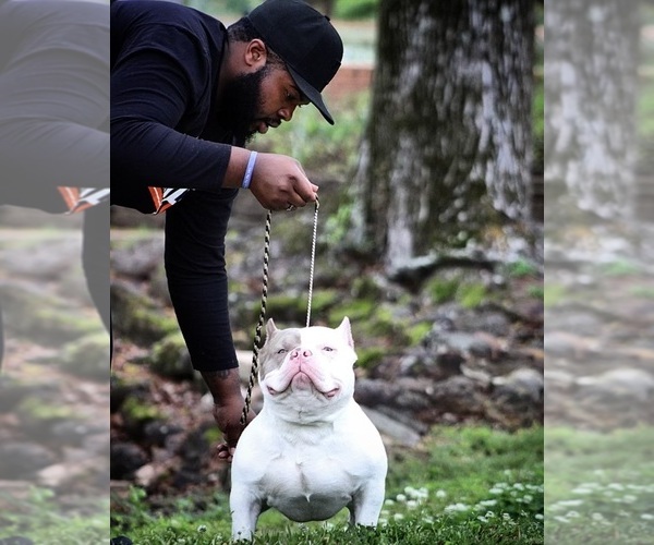 Medium Photo #1  Breeder Profile in TYLER, TX, USA