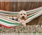 Small #23 Breeder Profile image