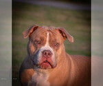 Small #6 Breeder Profile image