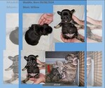 Small #5 Breeder Profile image