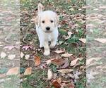 Small #14 Breeder Profile image