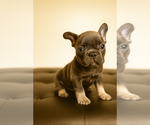 Small #11 Breeder Profile image