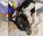 Small #29 Breeder Profile image