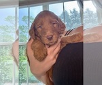Small #8 Breeder Profile image