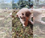 Small #10 Breeder Profile image