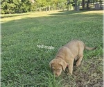 Small #3 Breeder Profile image