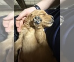 Small #14 Breeder Profile image