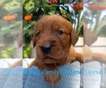 Small #6 Breeder Profile image