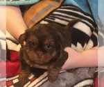 Small #14 Breeder Profile image