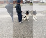 Small #11 Breeder Profile image