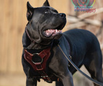 Small #13 Breeder Profile image