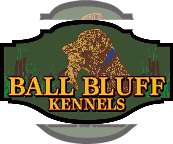 Medium Photo #1  Breeder Profile in JACOBSON, MN, USA