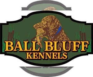 Medium Breeder Profile Photo