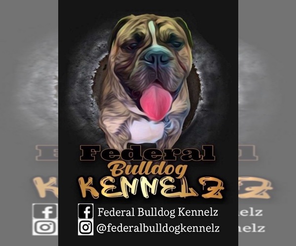 Medium Photo #1  Breeder Profile in SHEBOYGAN, WI, USA