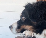 Small #23 Breeder Profile image