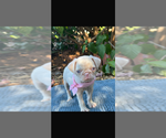 Small #4 Breeder Profile image