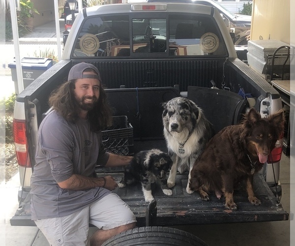 Medium Photo #86  Breeder Profile in SUNNYVALE, CA, USA