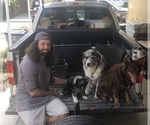 Small #85 Breeder Profile image