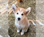 Small #9 Breeder Profile image